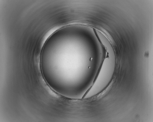 X0000091010812200708161957