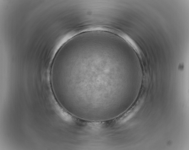 X0000091010813200708161957