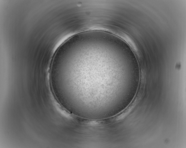 X0000091010814200708161957