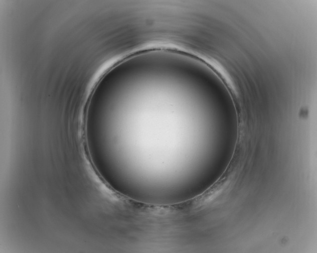 X0000091010815200708161957