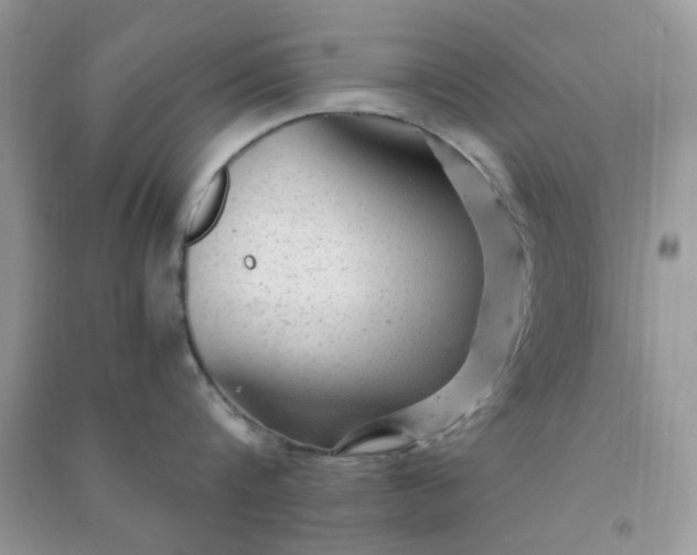 X0000091010816200708161957