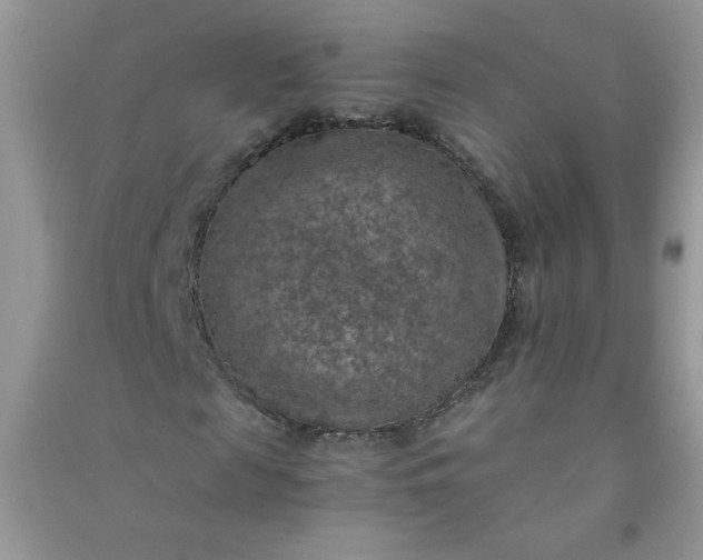 X0000091010817200708161956