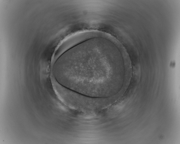 X0000091010818200708161956