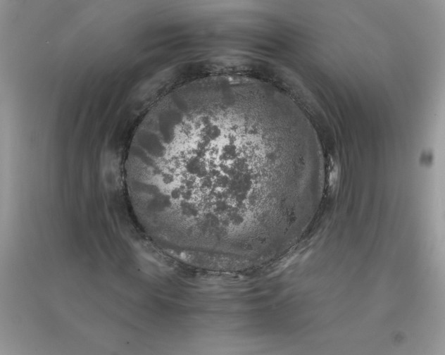 X0000091010819200708161956