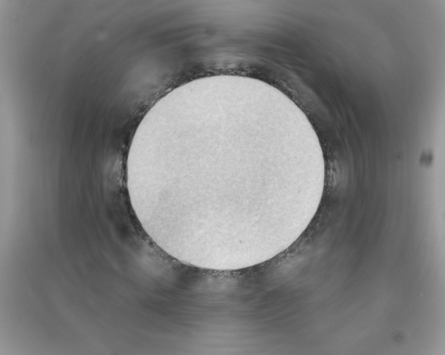 X0000091010820200708161956