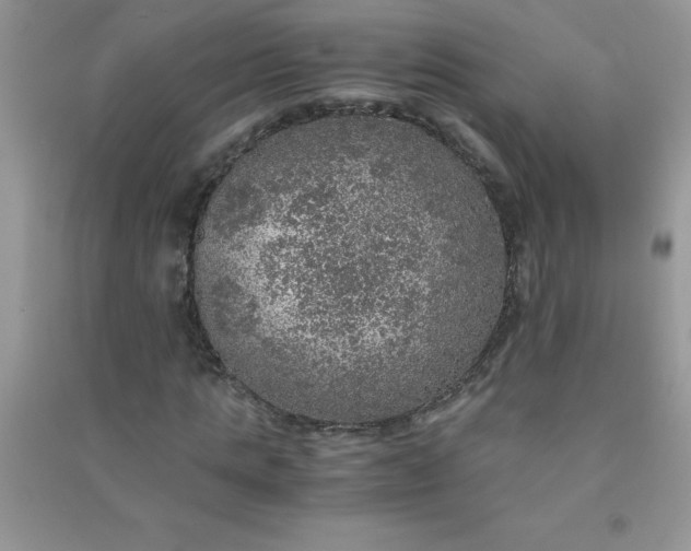 X0000091010821200708161956