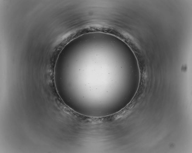 X0000091010822200708161956