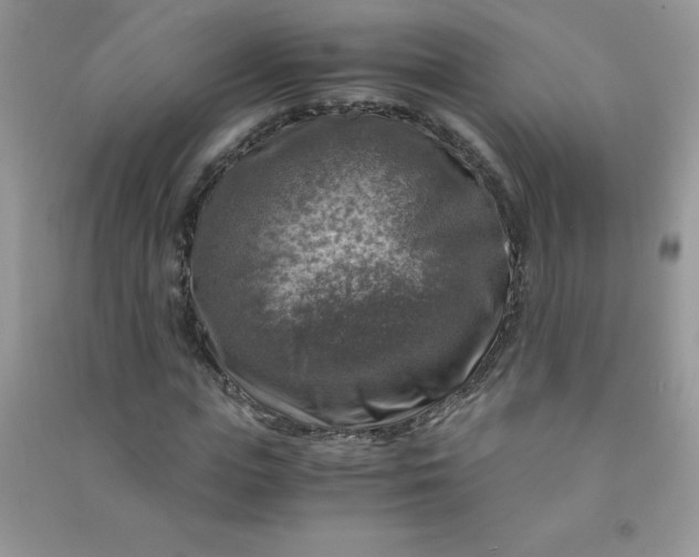 X0000091010823200708161956