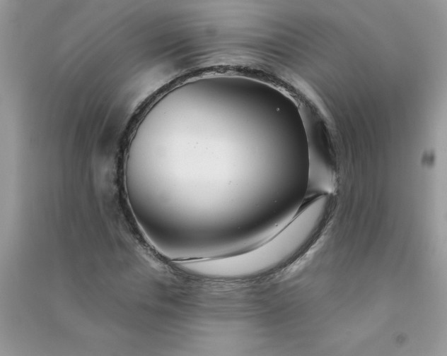 X0000091010826200708161957