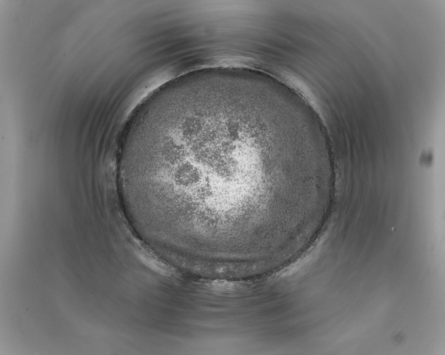 X0000091010827200708161957