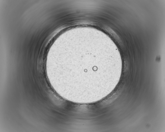 X0000091010828200708161957