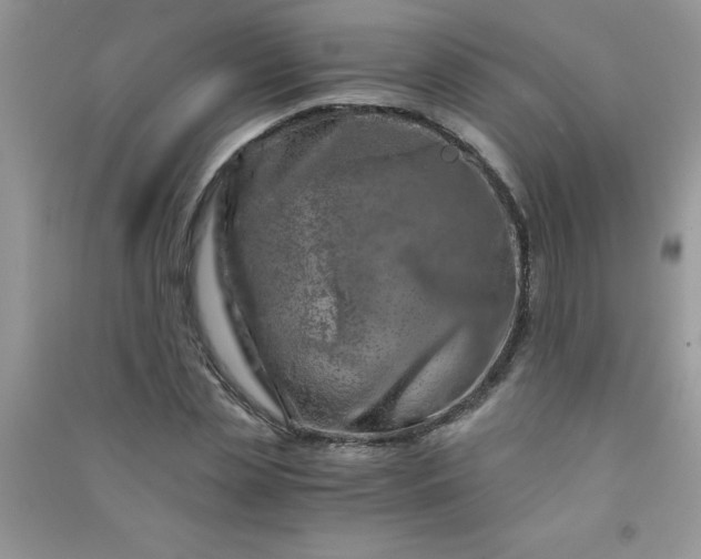 X0000091010829200708161957