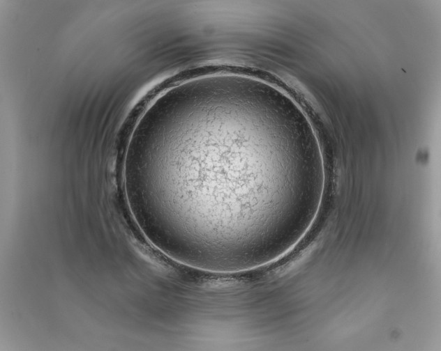 X0000091010830200708161957