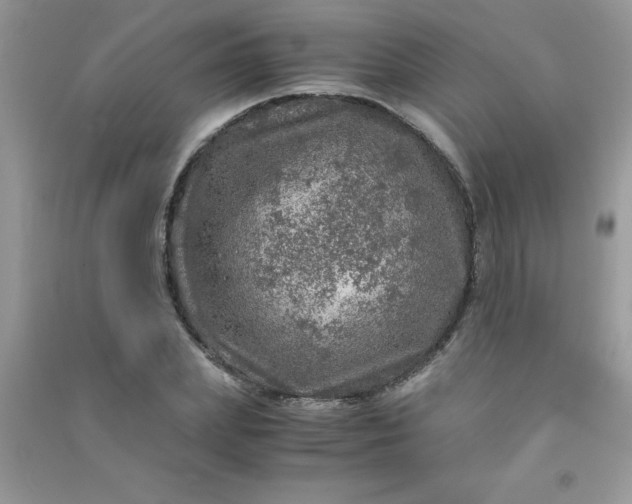 X0000091010831200708161957