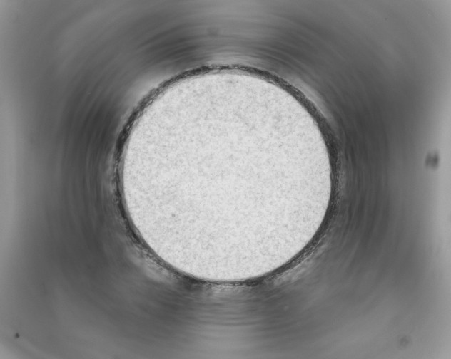 X0000091010832200708161957