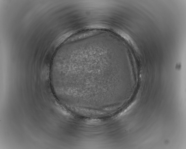 X0000091010833200708161957