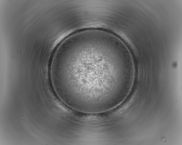 X0000091010834200708161957