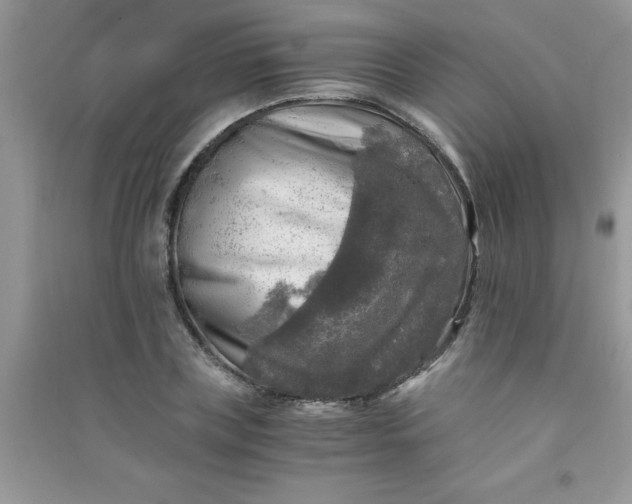 X0000091010835200708161957