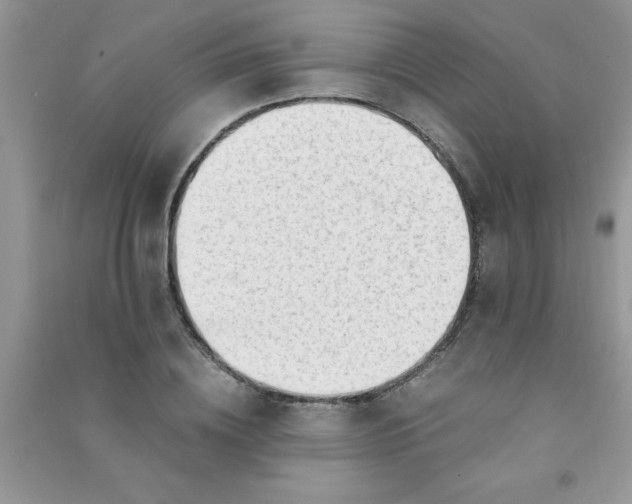 X0000091010836200708161957