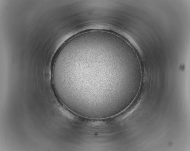 X0000091010837200708161957