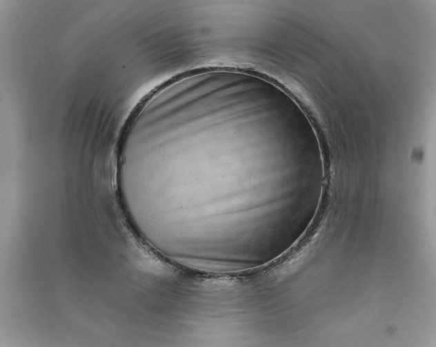 X0000091010838200708161957