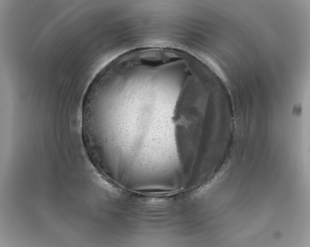 X0000091010839200708161957