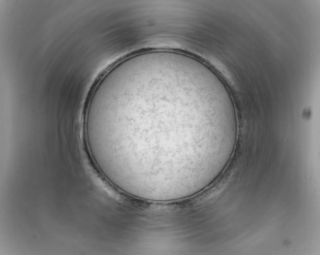 X0000091010840200708161957