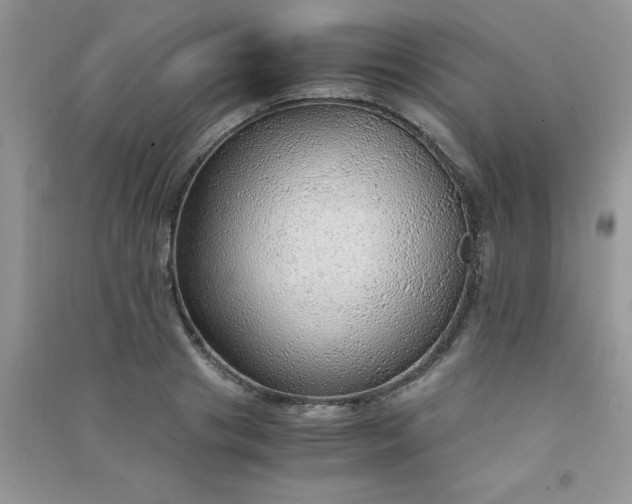 X0000091010841200708161957