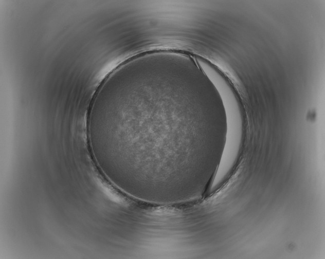 X0000091010842200708161957