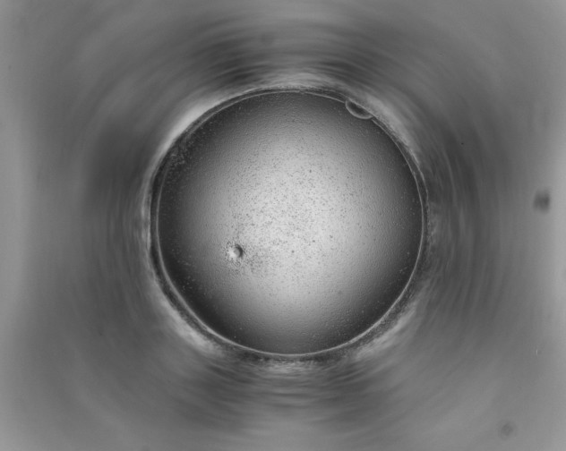 X0000091010843200708161957