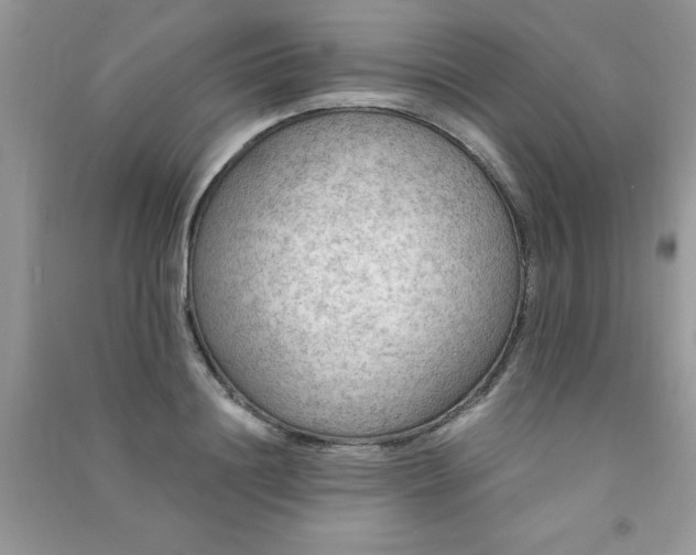 X0000091010844200708161957