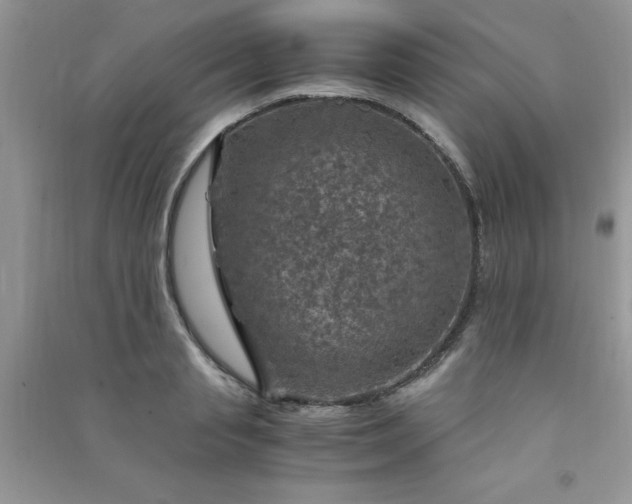 X0000091010845200708161957