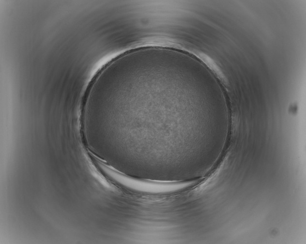 X0000091010846200708161957