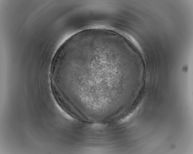 X0000091010847200708161957