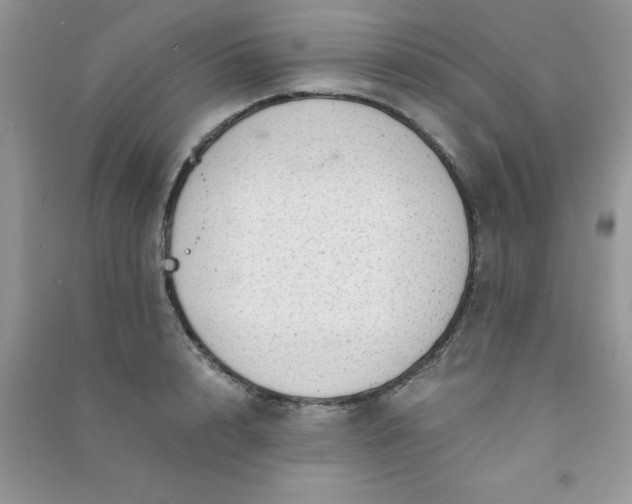 X0000091010848200708161957