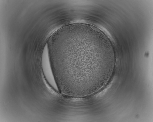 X0000091010849200708161957