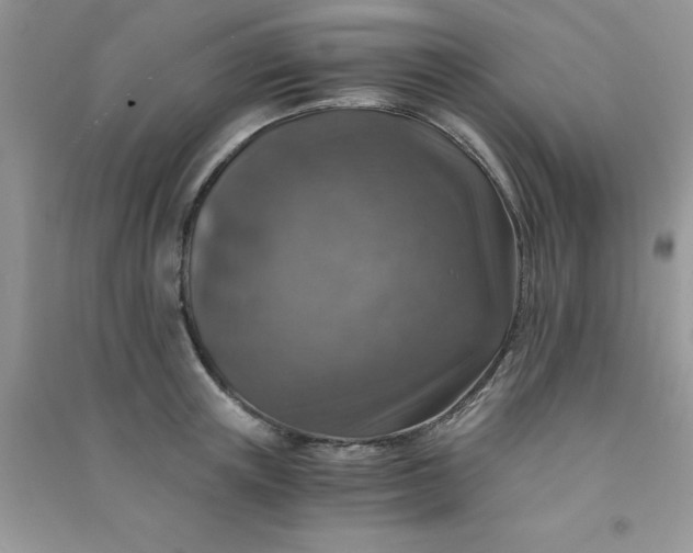 X0000091010851200708161957