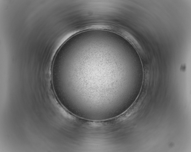 X0000091010852200708161957