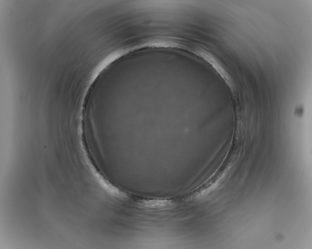 X0000091010853200708161957