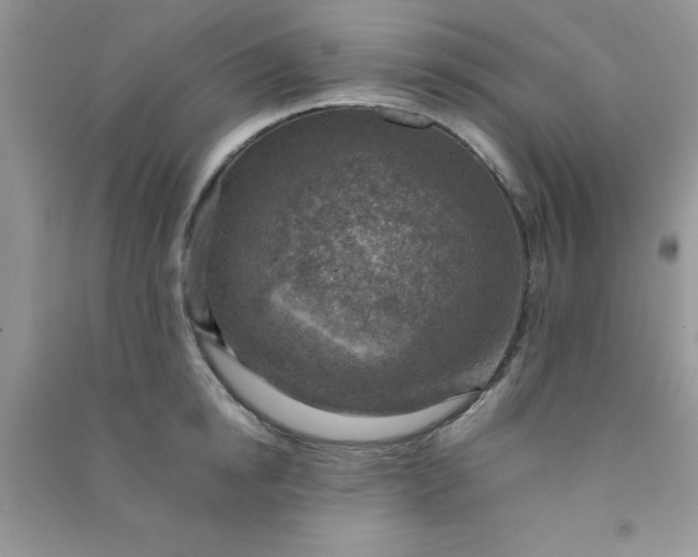 X0000091010854200708161957