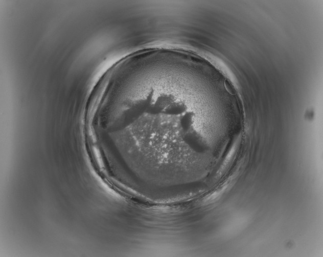 X0000091010855200708161957