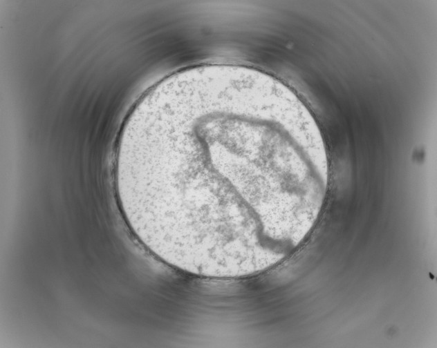 X0000091010856200708161957