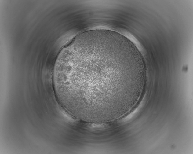 X0000091010857200708161957