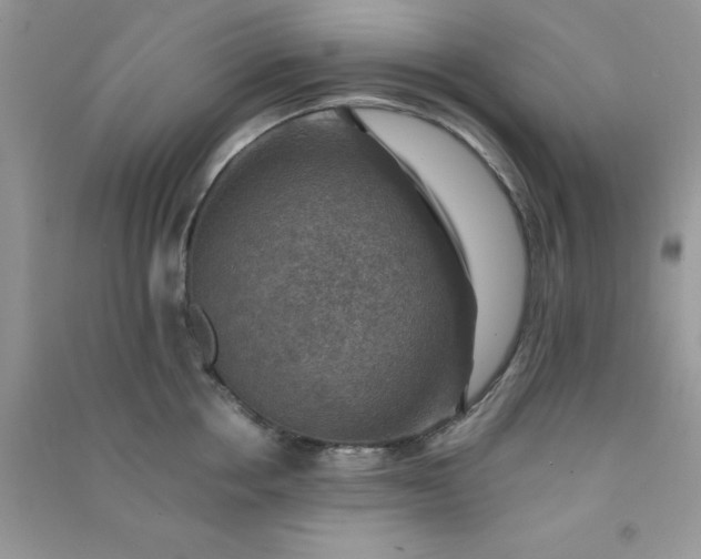 X0000091010858200708161957