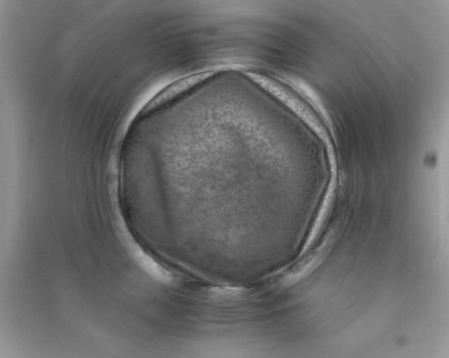 X0000091010859200708161957