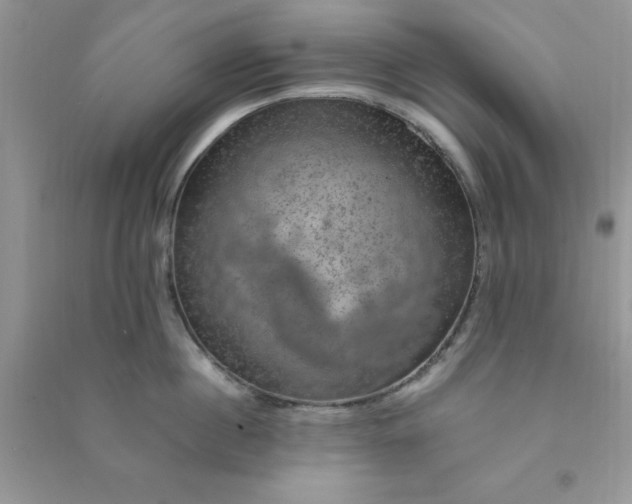 X0000091010860200708161957