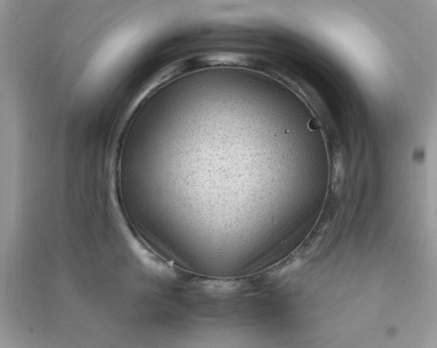 X0000091010861200708161957