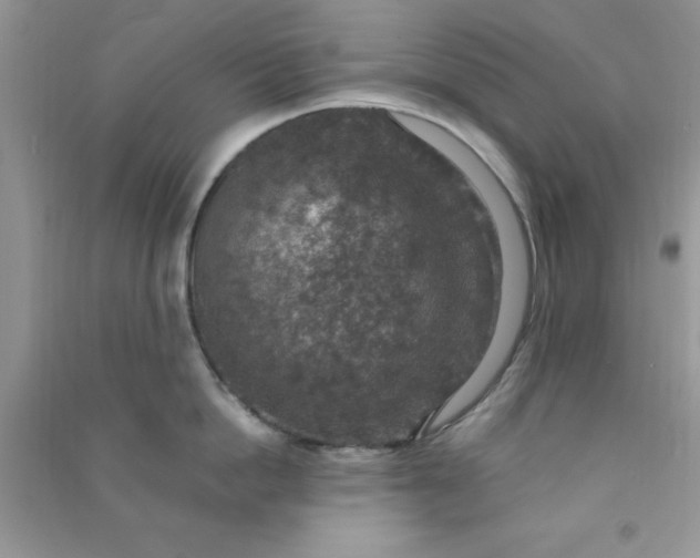 X0000091010862200708161957