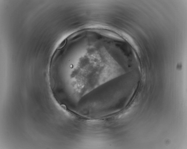 X0000091010863200708161957