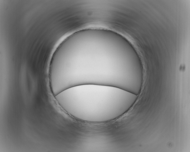 X0000091010864200708161957